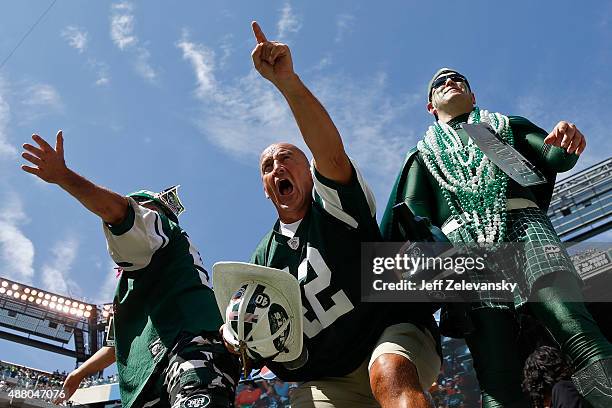 New York Jets fan Fireman Ed cheers during the game against the Cleveland Browns at MetLife Stadium on September 13, 2015 in East Rutherford, New...