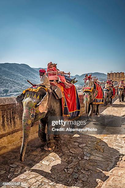 tourists riding elephants coming toward amber fort, jaipur - indian fort stock pictures, royalty-free photos & images