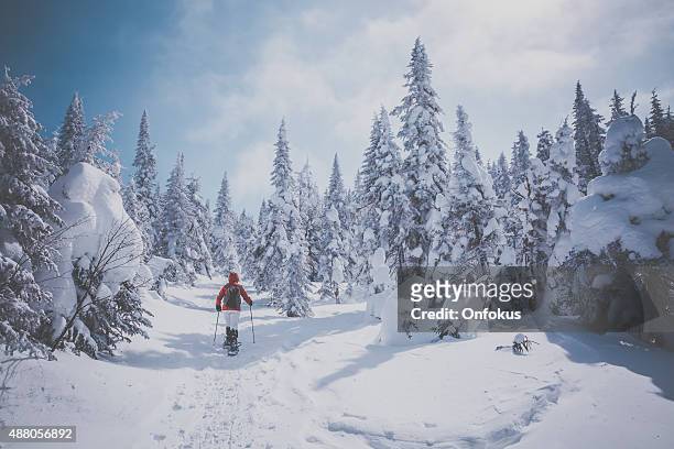 donna camminare con le racchette nel paesaggio invernale di foresta - racchetta da neve attrezzatura sportiva foto e immagini stock
