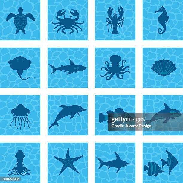sea life icon set - turtle shell stock illustrations