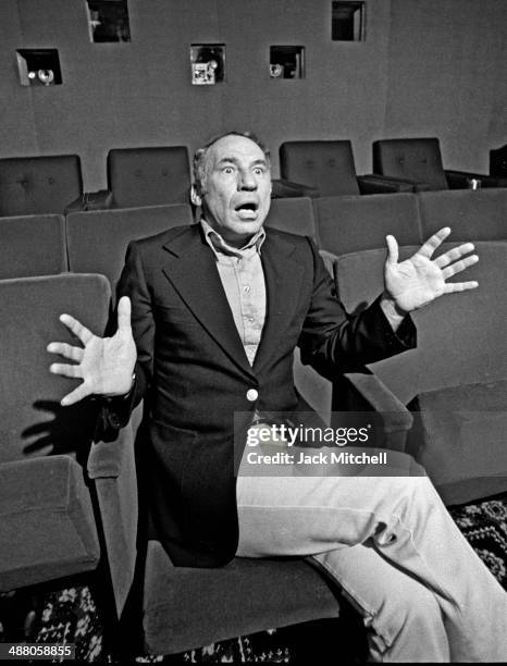 Mel Brooks photographed in NYC in 1976, the year he directed and starred in 'Silent Movie'.