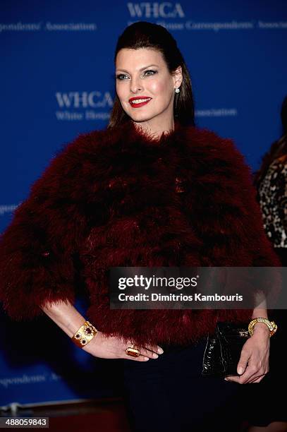 Linda Evangelista attends the 100th Annual White House Correspondents' Association Dinner at the Washington Hilton on May 3, 2014 in Washington, DC.