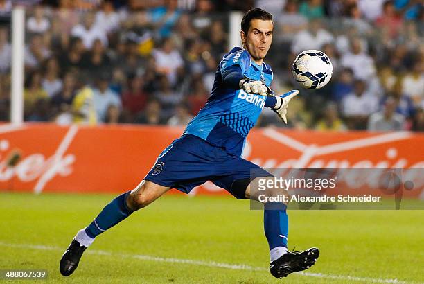 Marcelo Grohe, goalkeeper of Santos in action during the match between Santos and Gremio for the Brazilian Series A 2014 at Vila Belmiro stadium on...