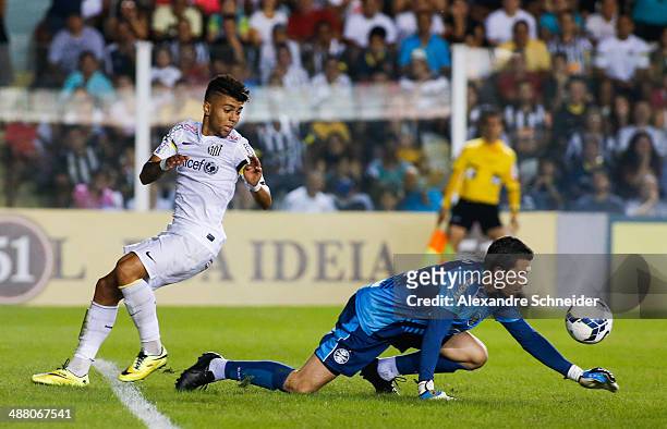 Marcelo Grohe, goalkeeper of Santos in action during the match between Santos and Gremio for the Brazilian Series A 2014 at Vila Belmiro stadium on...