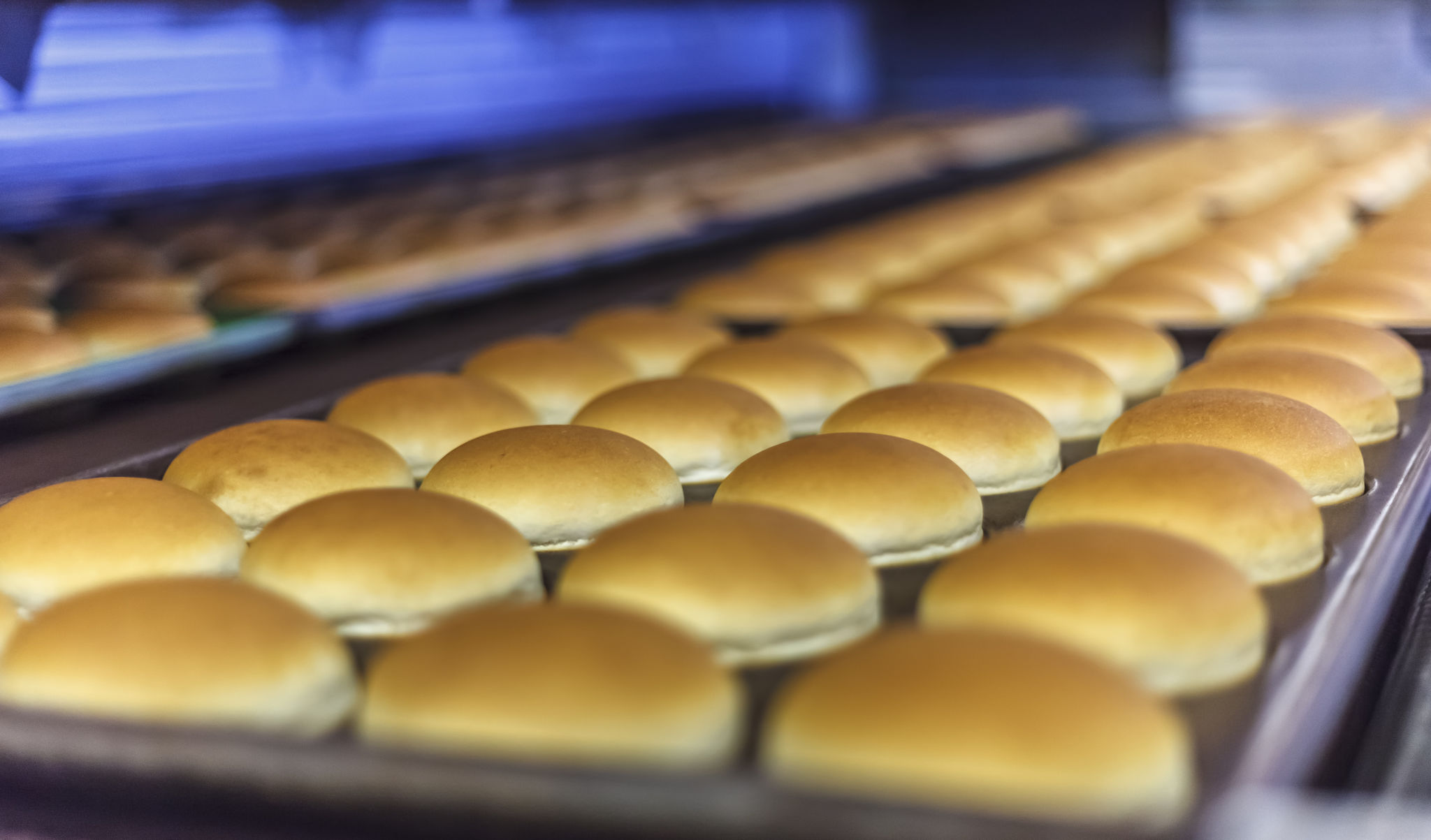 burger assembly