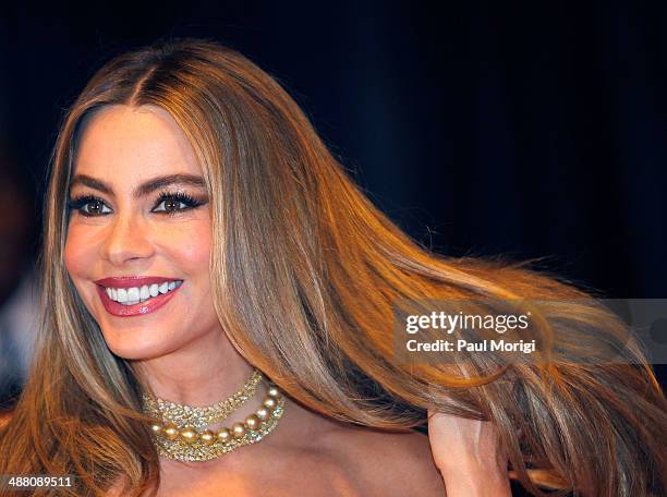 Actress Sofia Vergara attends the 100th Annual White House Correspondents' Association Dinner at the Washington Hilton on May 3, 2014 in Washington,...