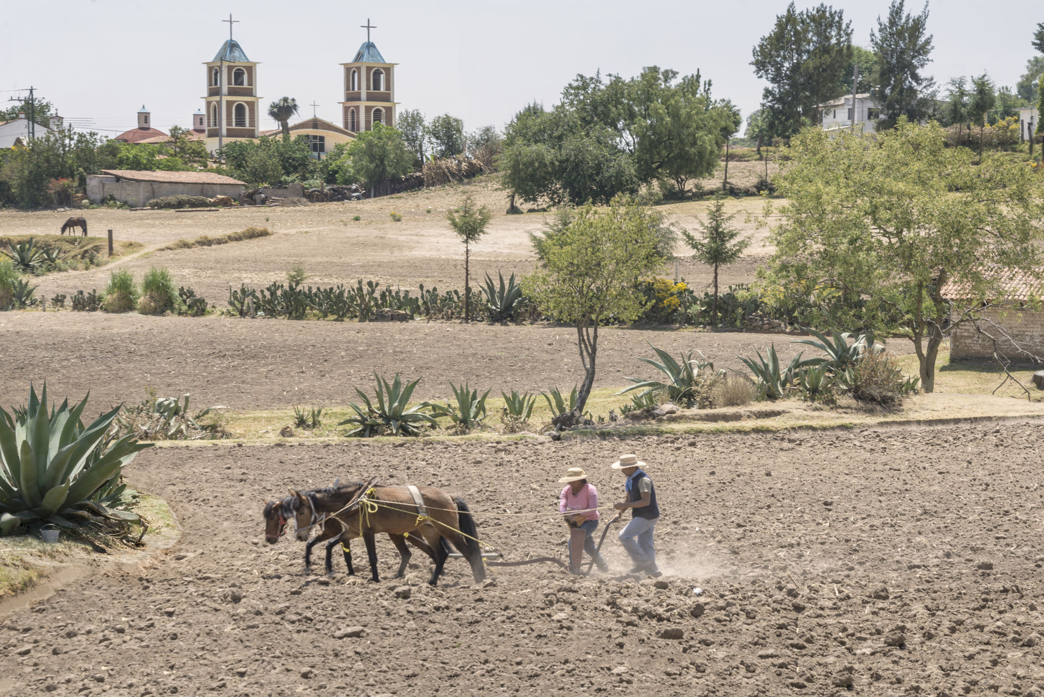 traditional farming techniques
