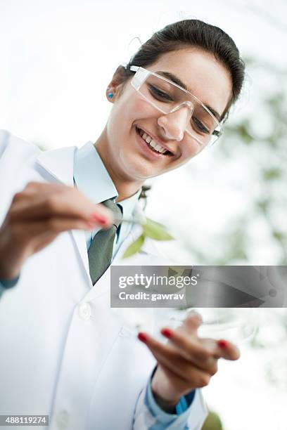 happy young female botanist collecting sample of leafs. - specimen holder stock pictures, royalty-free photos & images