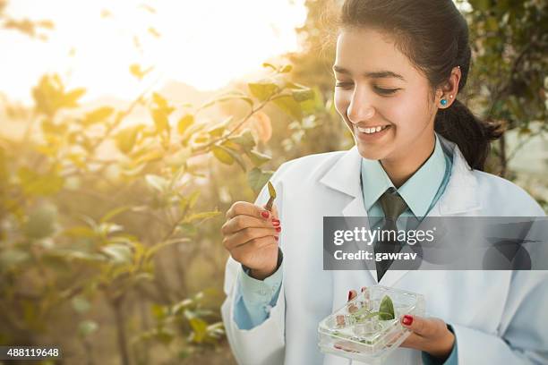 happy young female botanist collecting sample of leafs in nature. - herbal medicine stock pictures, royalty-free photos & images