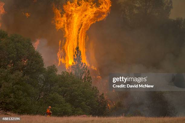 Tall flames rise behind a firefighting inmate hand crew member at the Butte Fire are seen on September 13, 2015 near San Andreas, California....