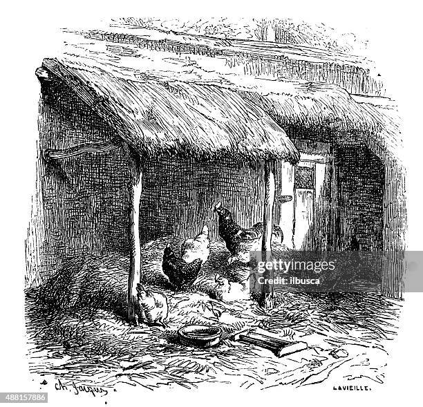 stockillustraties, clipart, cartoons en iconen met antique illustration of henhouse - kippenhok