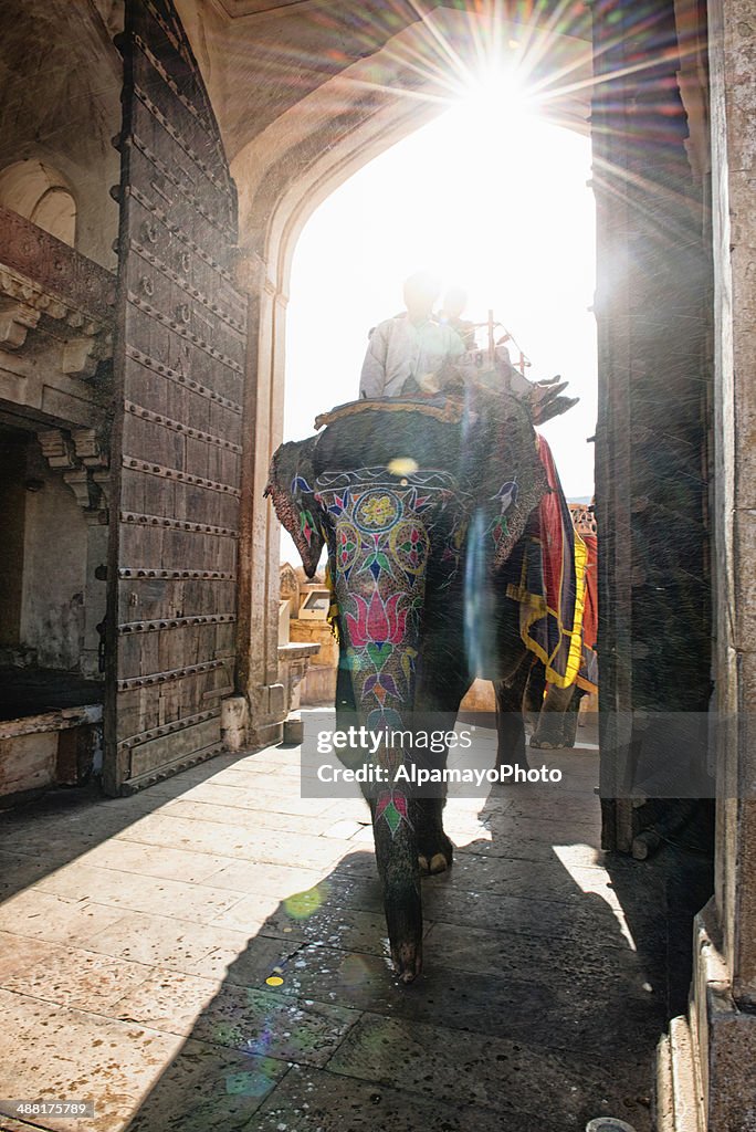 Elephant Eingabe Amber Fort mit Touristen