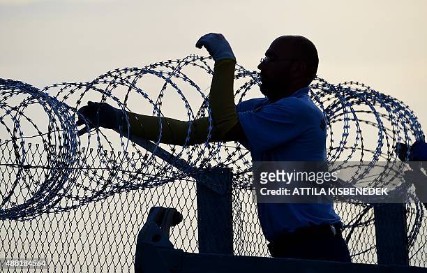 Prisoners of the 'Csillag' jail of Szeged fix one of the last part of the iron fence at the Hungarian-Serbian border near the village of Roszke on...