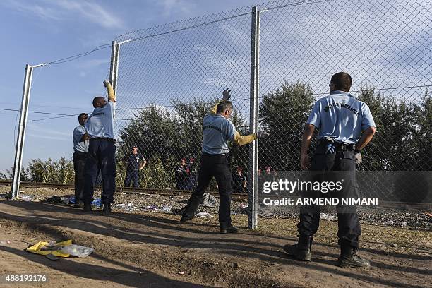 Inmates of the "Csillag" jail of Szeged fix an iron fence at the Hungarian-Serbian border near the town of Horgos on September 14, 2015 as Hungarian...