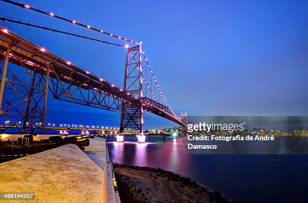 ponte rosa (outubro rosa) - damasco 個照片及圖片檔
