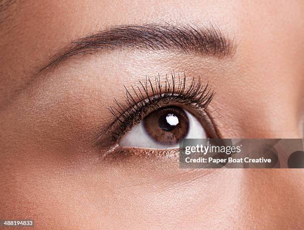 close up of clear brown eyes looking up at light - brown eyes 個照片及圖片檔