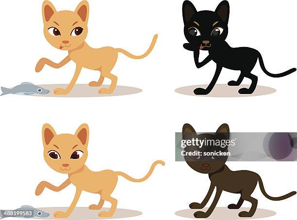 cat and fish - pet fish white background stock illustrations