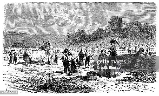 antique illustration of farmers working - 21st century stock illustrations