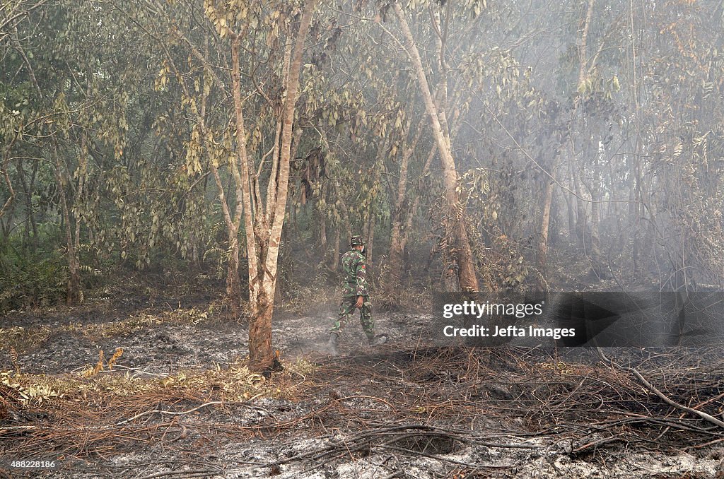 Wild Fire in Indonesia's Riau Province