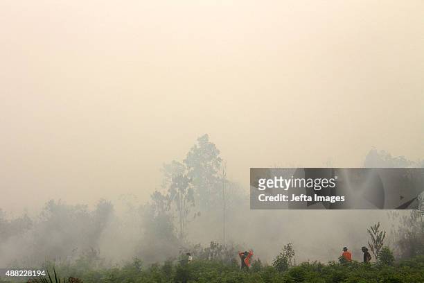 Indonesian firemen try to extinguish wild fire at Kampar District on September 14, 2015 in Riau province, Indonesia. The thick haze has forced the...