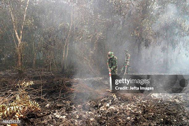 Indonesian firemen try to extinguish wild fire at Kampar District on September 14, 2015 in Riau province, Indonesia. The thick haze has forced the...