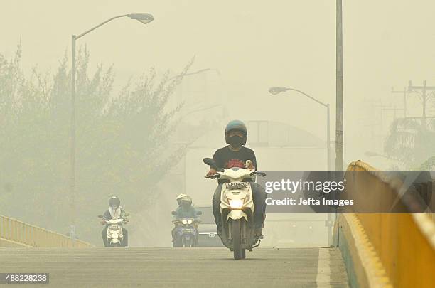 Motorists ride down the street as haze shrouds the Sumatran city of Pekanbaru on September 14, 2015 in Riau province, Indonesia. The thick haze has...