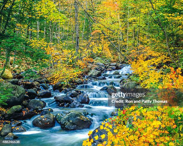 colores otoñales underhill montañas verdes, parque estatal de vermont - vermont fotografías e imágenes de stock