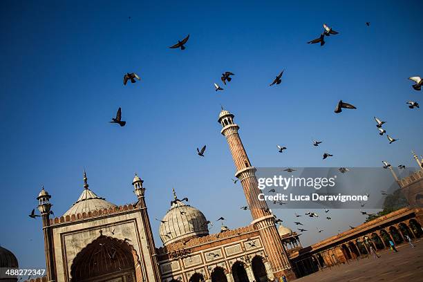 birds flying over muslim mosque - delhi jama masjid mosque stock-fotos und bilder