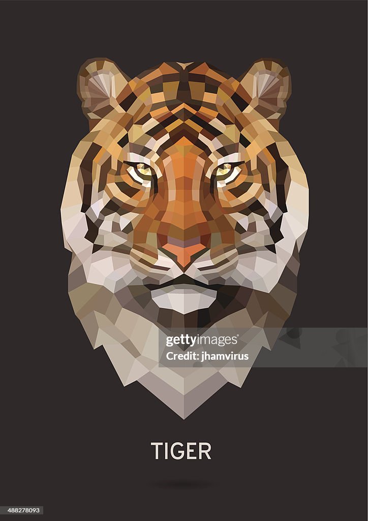 Tiger Vector High-Res Vector Graphic - Getty Images