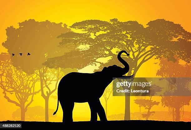 elephant - indian elephant illustration stock illustrations