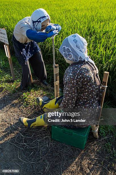 Scarecrow is a special type of decoy in the shape of a human placed in fields to keep birds from disturbing and feeding on seed and crops. Modern...