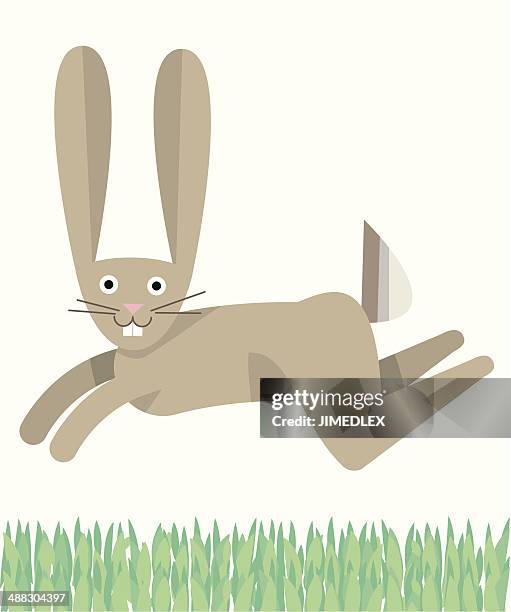 rabbit easter bunny jack rabbit hare jumping in grass - rabbit jump stock illustrations