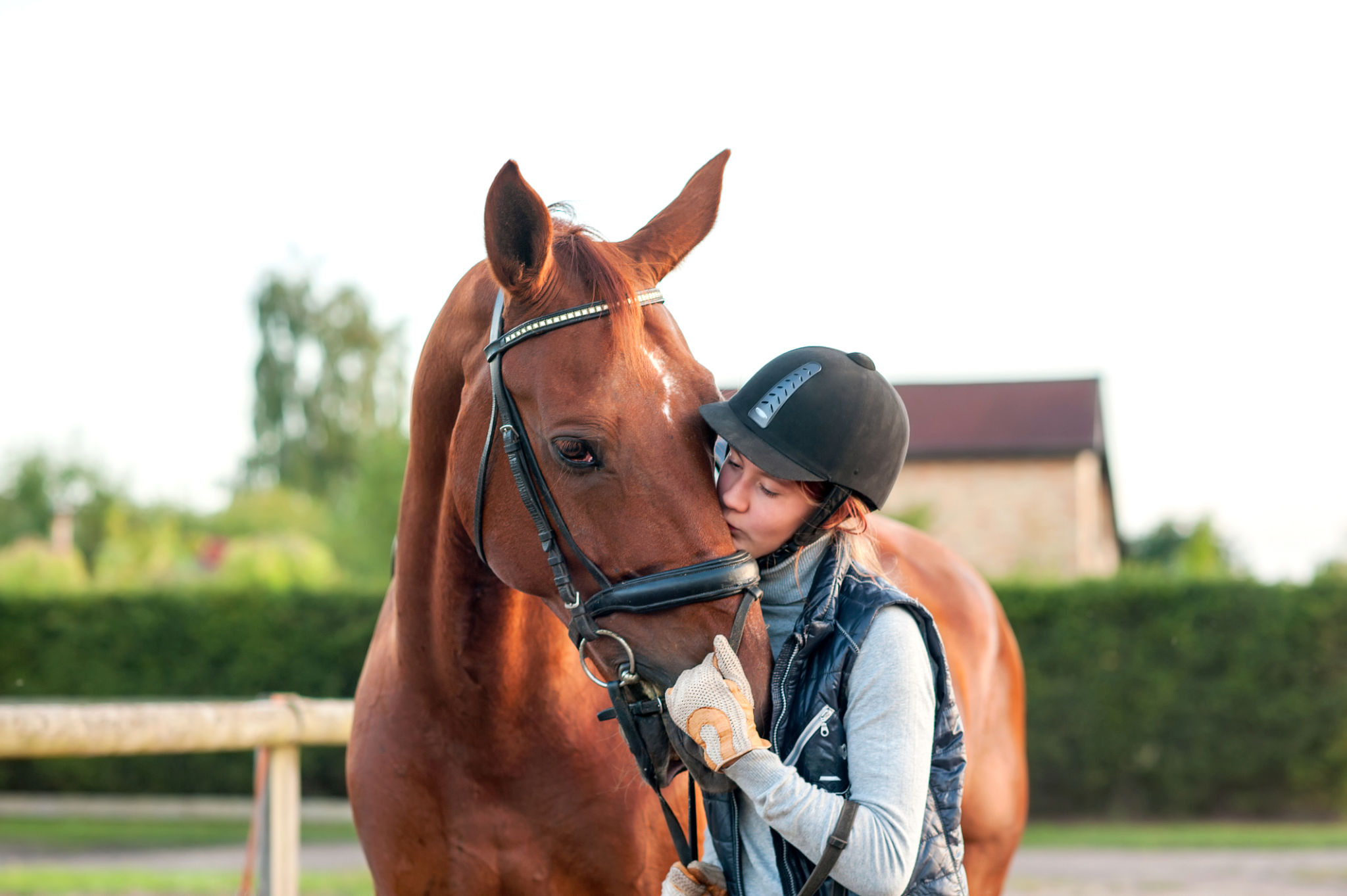 equestrian safety
