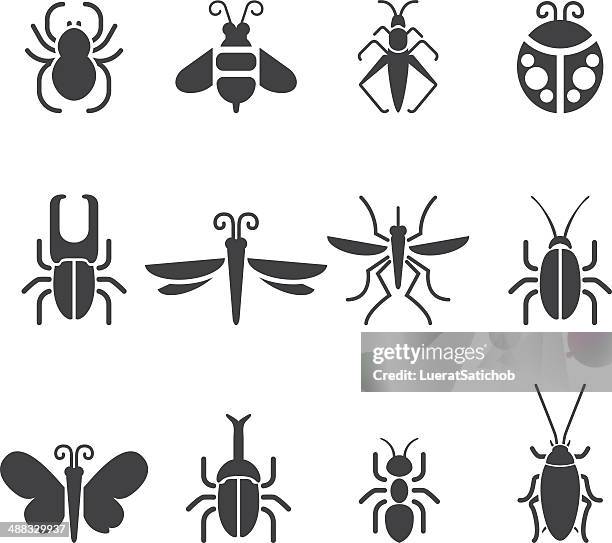 29 242点の昆虫イラスト素材 Getty Images 29 242点の昆虫イラスト素材 Getty Images