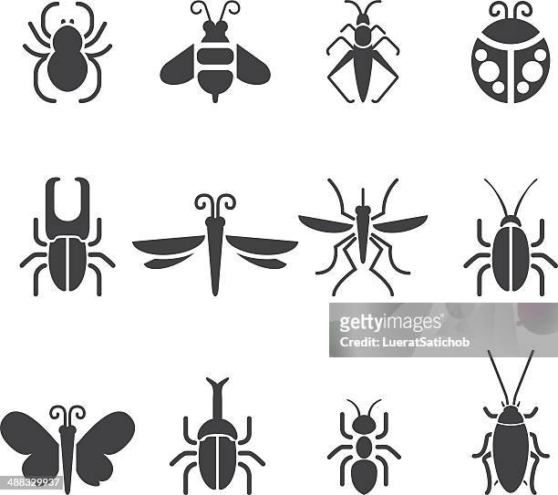 insect silhouette icons| eps10 - beetle icon stock illustrations