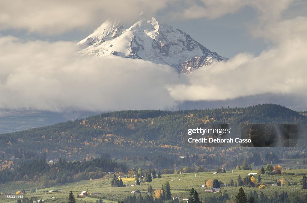 Mount Hood and farmland below.