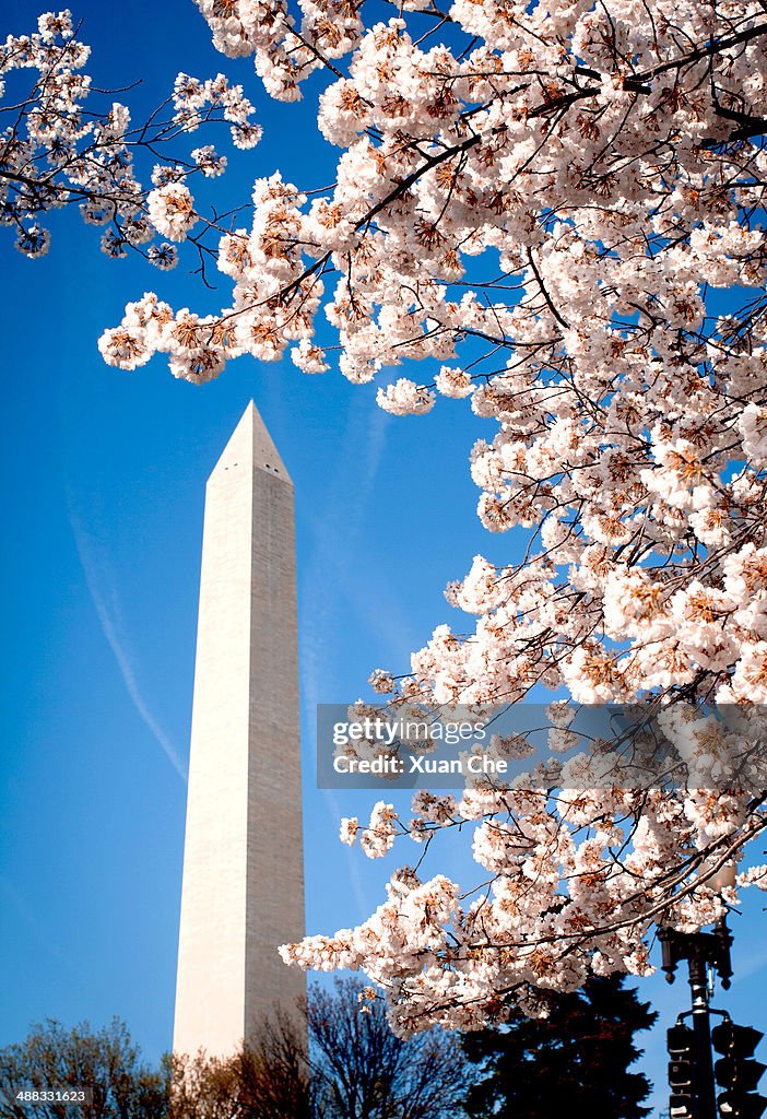 Washington Monument