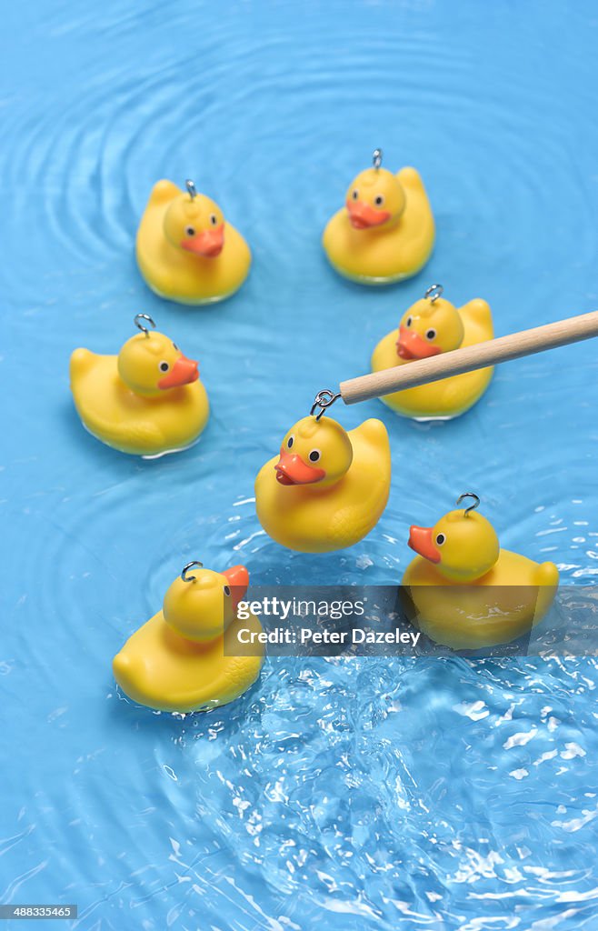 Rubber duck carnival game