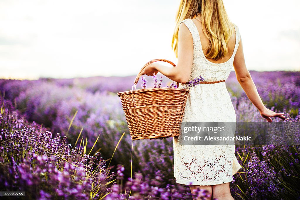 Young lavender picker