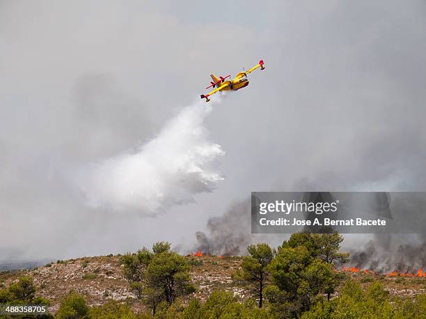 seaplane discharging water on a forest fire - forest fire plane stock pictures, royalty-free photos & images