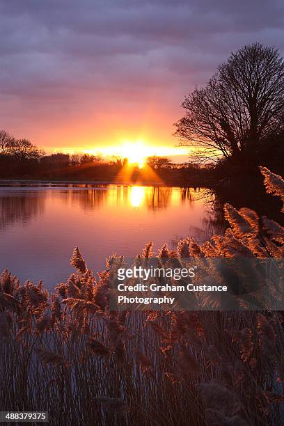 reservoir sunset - hertfordshire stock pictures, royalty-free photos & images