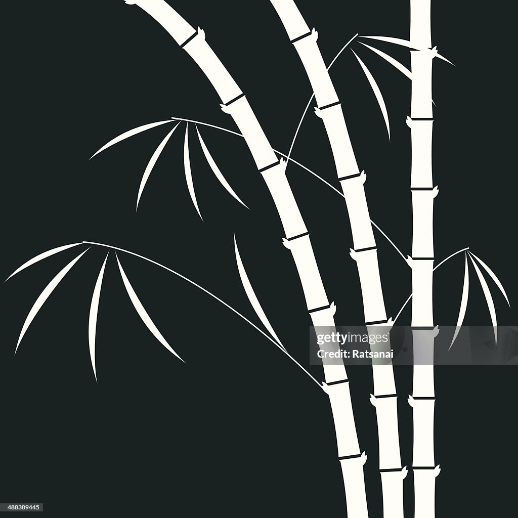 Bamboo illustration