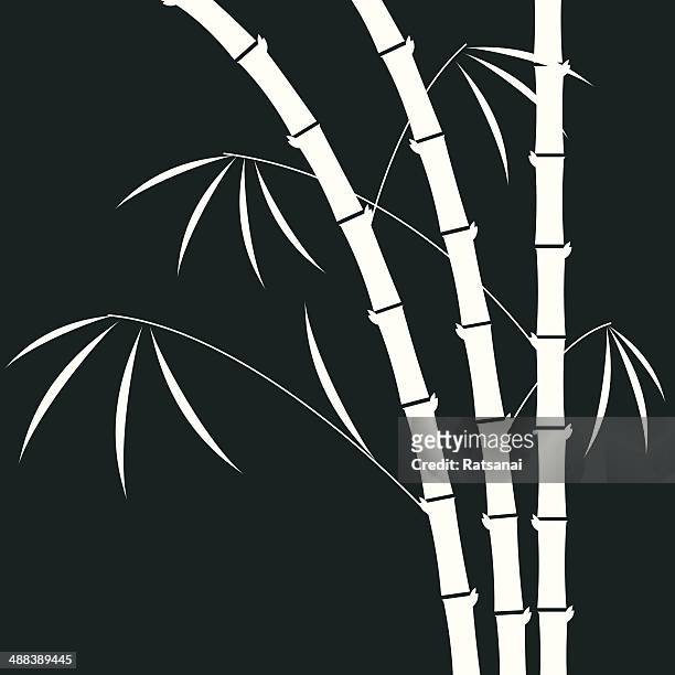 bamboo illustration - bamboo leaf stock illustrations