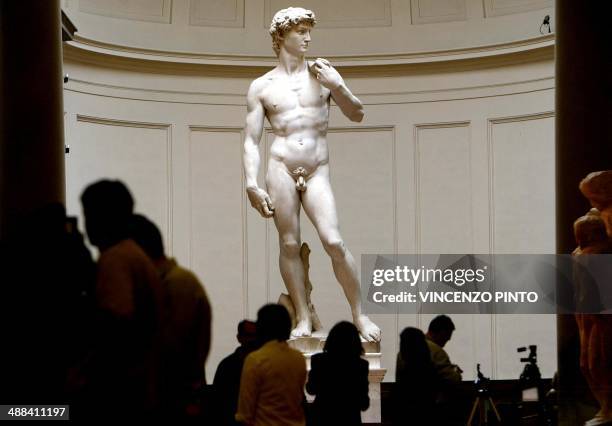 Michelangelo's famous marble statue of "David" is bathed in natural light streaming through the dome of Florence's Accademia Gallery 24 May 2004. The...