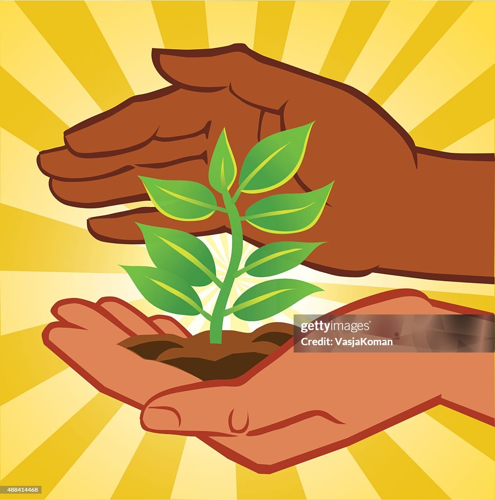 Two Hand Planet Tree Plant In Two Hands