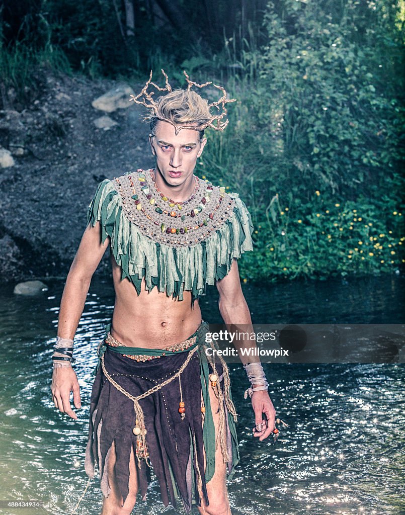 Suspicious Woodland Fairy King Leaving Forest Stream