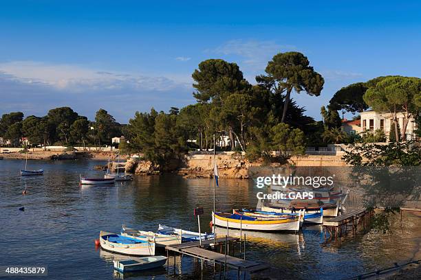 traditional fishing boats in port de l'olivette at antibes - antibes bildbanksfoton och bilder