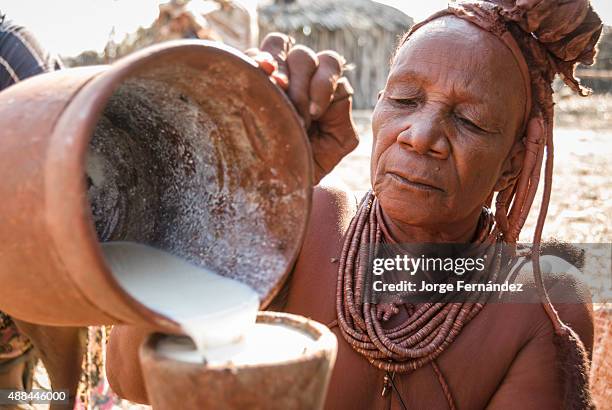 Old himba woman storing milk.