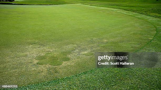 The repaired fourth green is seen during a practice round ahead of THE PLAYERS Championship on The Stadium Course at TPC Sawgrass on May 6, 2014 in...