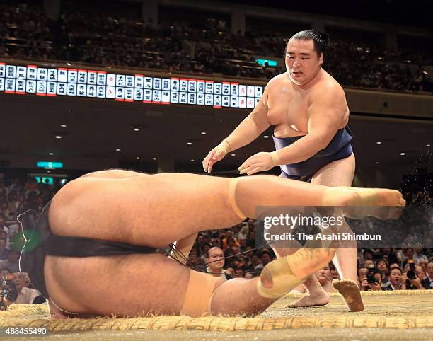 Mongolian yokozuna Kakuryu throws Egyptian wrestler Osunaarashi to win during day four of the Grand Sumo Autumn Tournament at Ryogoku Kokugikan on...